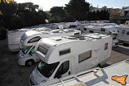 Santa Ninfa 19 11 2016 107.jpg